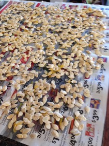 Pumpkin Seeds Dry/ apinchofluv.com